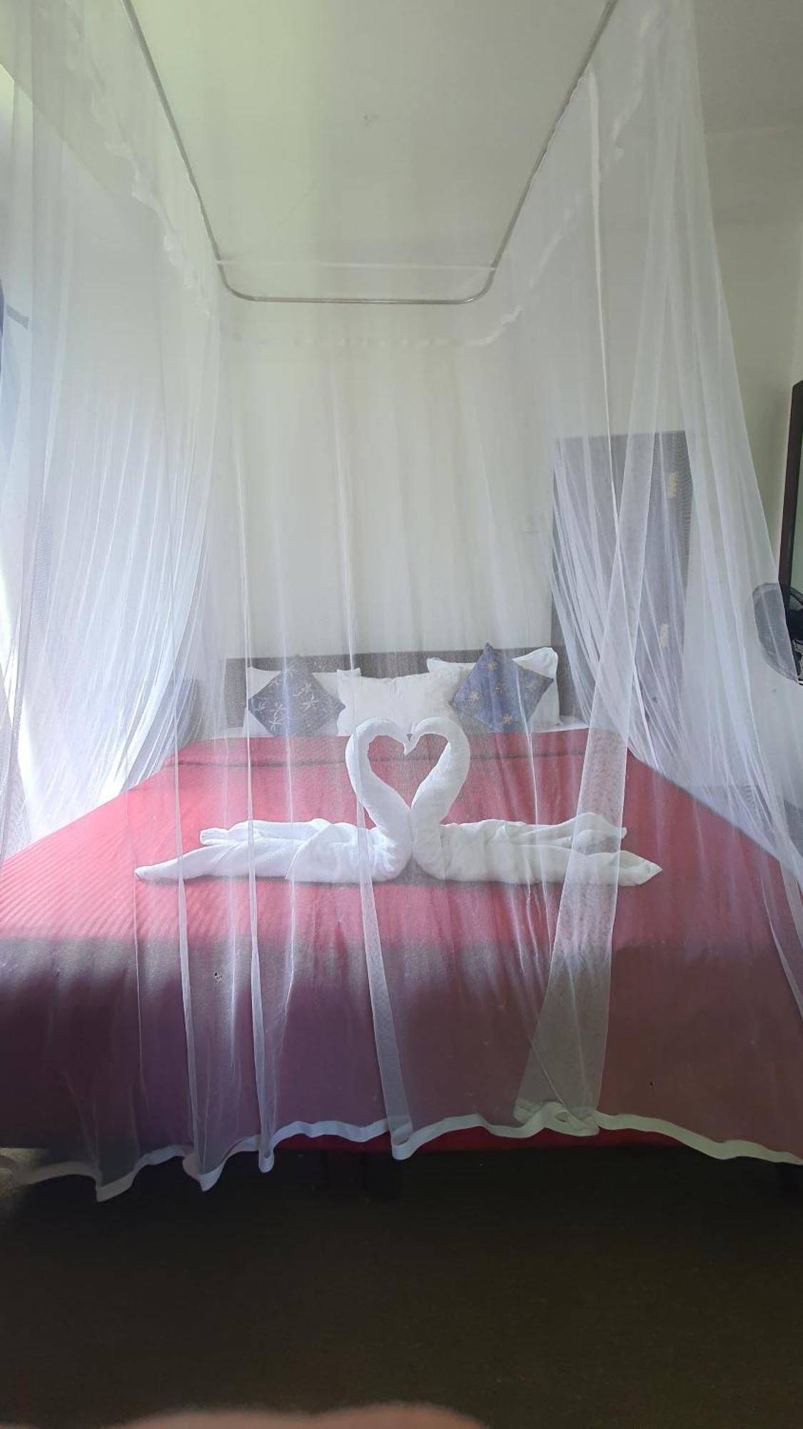 Emerald Mirror Guest Ella Luaran gambar